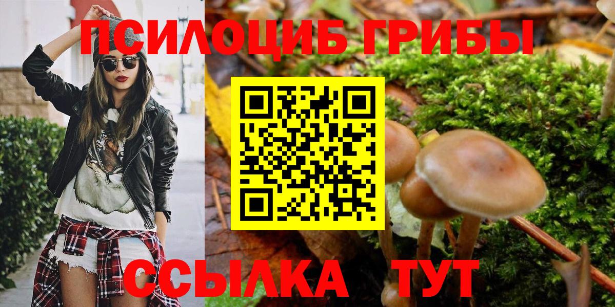 Псилоцибиновые грибы Cubensis Унеча